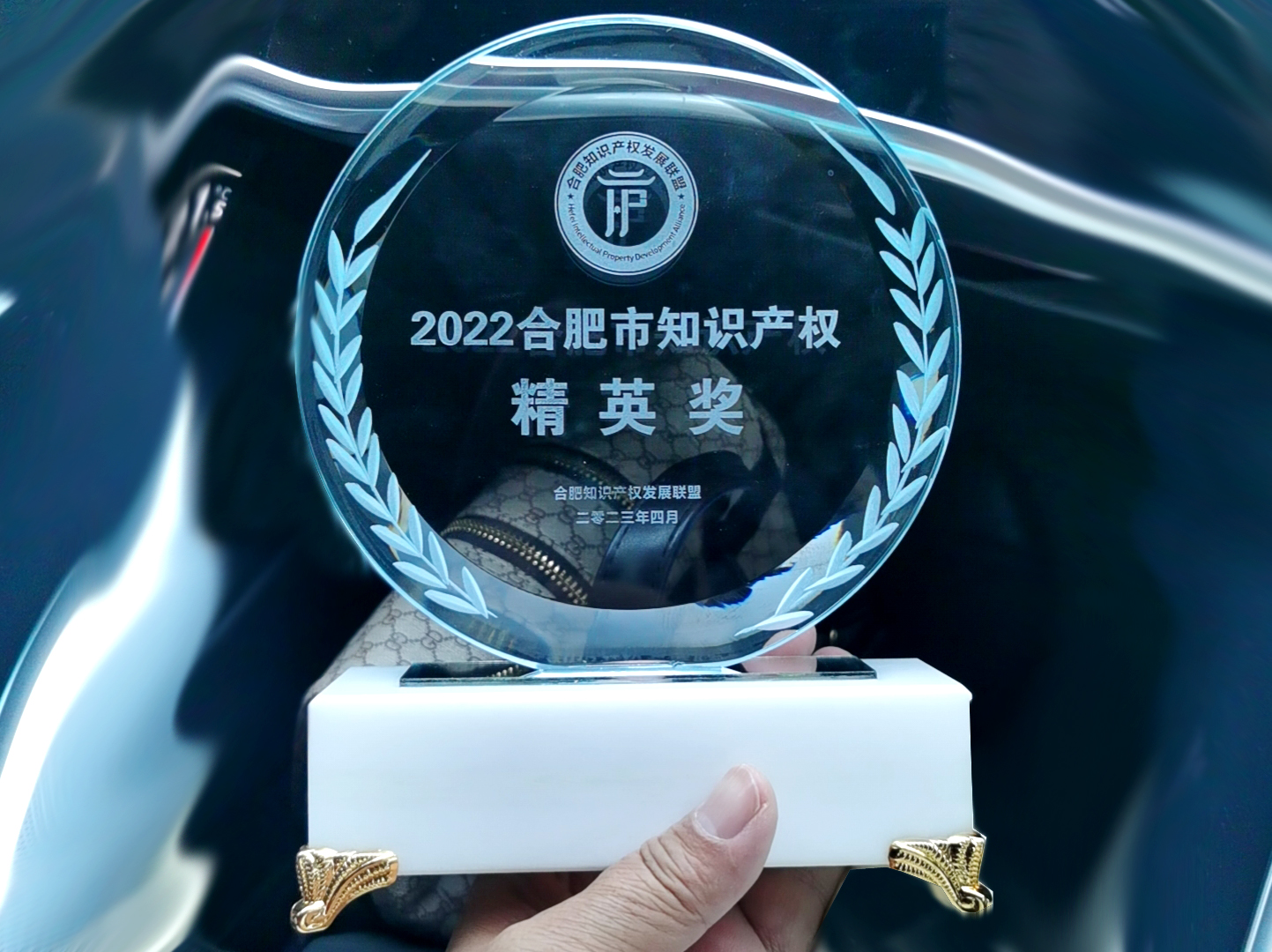 合肥市知识产权精英奖