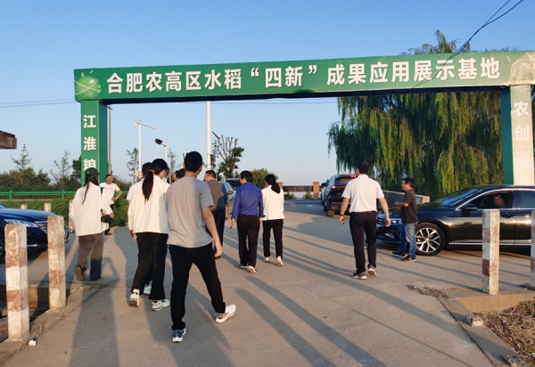 “百名专家下基层”助力“庐江大米”区域品牌打造，推动农业全产业链发展