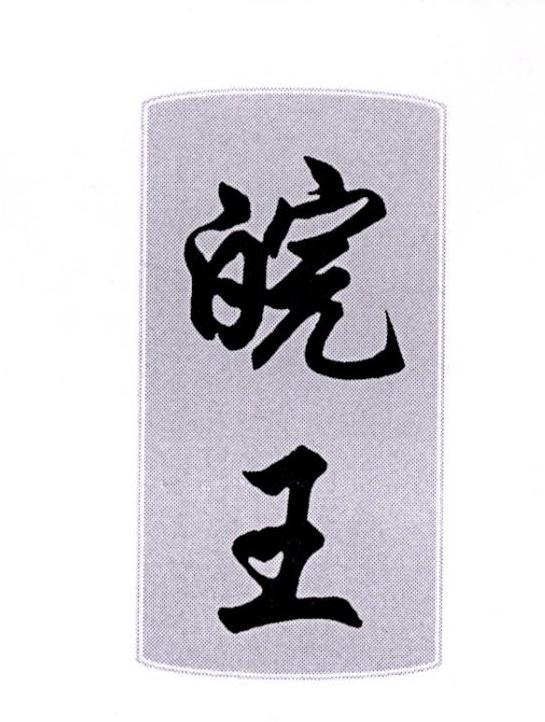 第31类24069432号 皖王.jpg