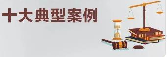 2019年中国法院10大知识产权案件和50件典型知识产权案例  三